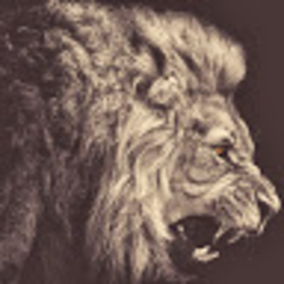 Meet your Posher, Jason - Picture 1 of 1